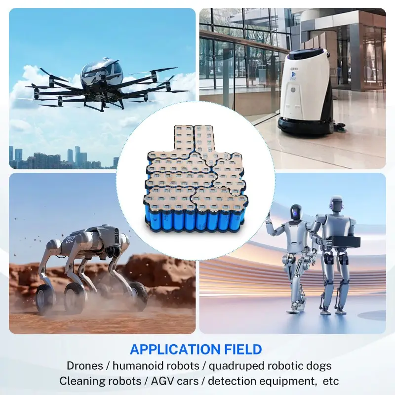 Módulo de potencia fiable de 30Ah para aplicaciones industriales de robots humanoides